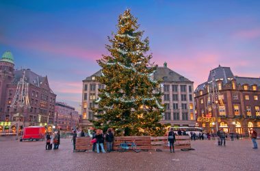Amsterdam christmas tree